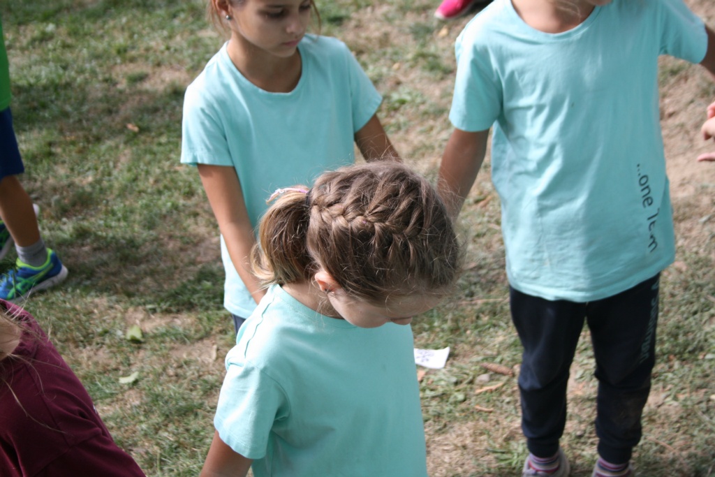Bild 1 (151)